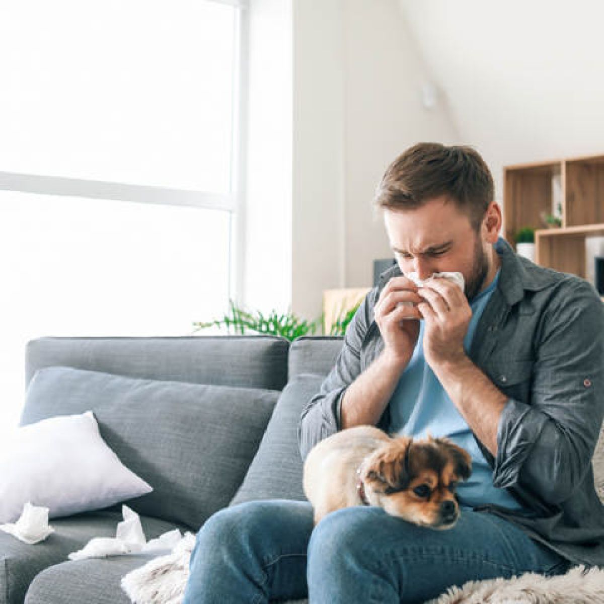 Expert Tips for a Cleaner, Allergen-Free Home